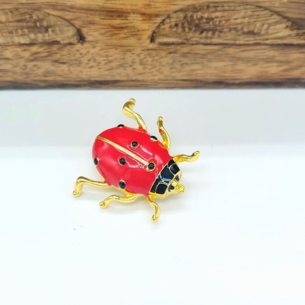 Ladybug Brooch Pin Boho Cottage Fairy